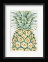 Fruit IV Fine Art Print