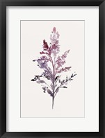 Botanical II Framed Print