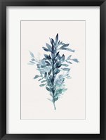 Botanical III Framed Print
