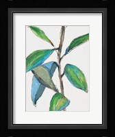 Greener Fine Art Print