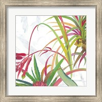 Tropical II Fine Art Print