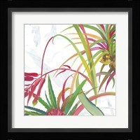 Tropical II Framed Print