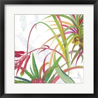 Tropical II Framed Print