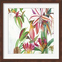 Tropical III Fine Art Print