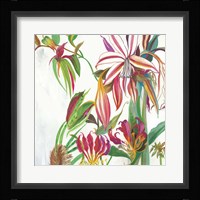 Tropical III Framed Print
