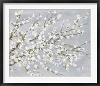 White Blossoms Fine Art Print