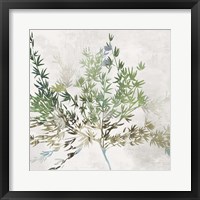 Olive Branch Fine Art Print
