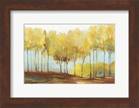 Yellow Trees Fine Art Print