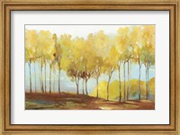 Yellow Trees Fine Art Print