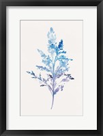Whimsical Botanical II Framed Print