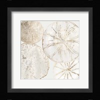 Sea Patterns II Fine Art Print