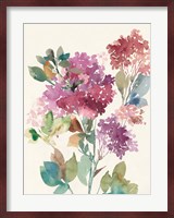 Sweet Hydrangea II Fine Art Print