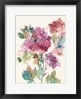 Sweet Hydrangea II Framed Print