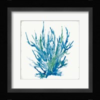 Blue Coral I Framed Print