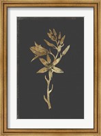 Botanical Gold on Black I Fine Art Print