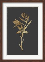 Botanical Gold on Black I Fine Art Print