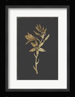 Botanical Gold on Black I Fine Art Print
