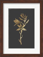 Botanical Gold on Black I Fine Art Print