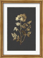 Botanical Gold on Black II Fine Art Print