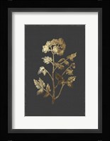 Botanical Gold on Black II Framed Print