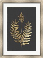 Botanical Gold on Black III Fine Art Print