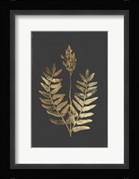 Botanical Gold on Black III Framed Print