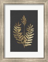 Botanical Gold on Black III Fine Art Print