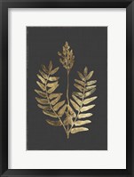 Botanical Gold on Black III Framed Print