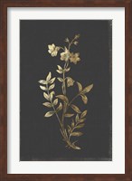 Botanical Gold on Black IV Fine Art Print