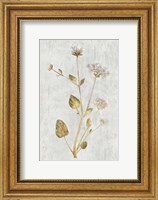 Botanical Gold on White I Fine Art Print