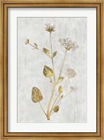 Botanical Gold on White I Fine Art Print