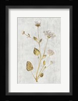 Botanical Gold on White I Framed Print