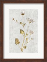 Botanical Gold on White I Fine Art Print