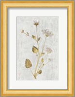 Botanical Gold on White I Fine Art Print