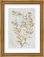 Botanical Gold on White II Fine Art Print