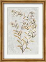 Botanical Gold on White II Fine Art Print