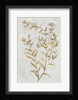 Botanical Gold on White II Framed Print