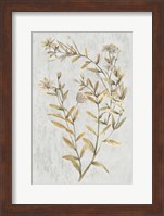 Botanical Gold on White II Fine Art Print