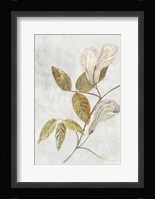 Botanical Gold on White III Fine Art Print