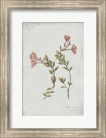 Botanical I Fine Art Print