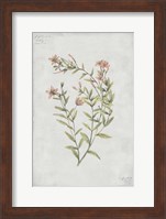 Botanical V Fine Art Print