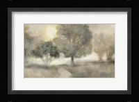 Over the Trees Fine Art Print