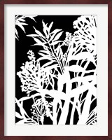 Monochrome Foliage IV Fine Art Print