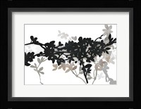 Apple Bloom II Framed Print