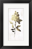 Gold Botanical I Fine Art Print
