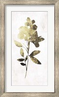 Gold Botanical I Fine Art Print