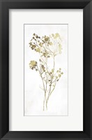 Gold Botanical II Fine Art Print