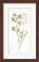 Gold Botanical II Fine Art Print