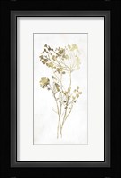 Gold Botanical II Fine Art Print