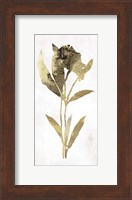 Gold Botanical III Fine Art Print